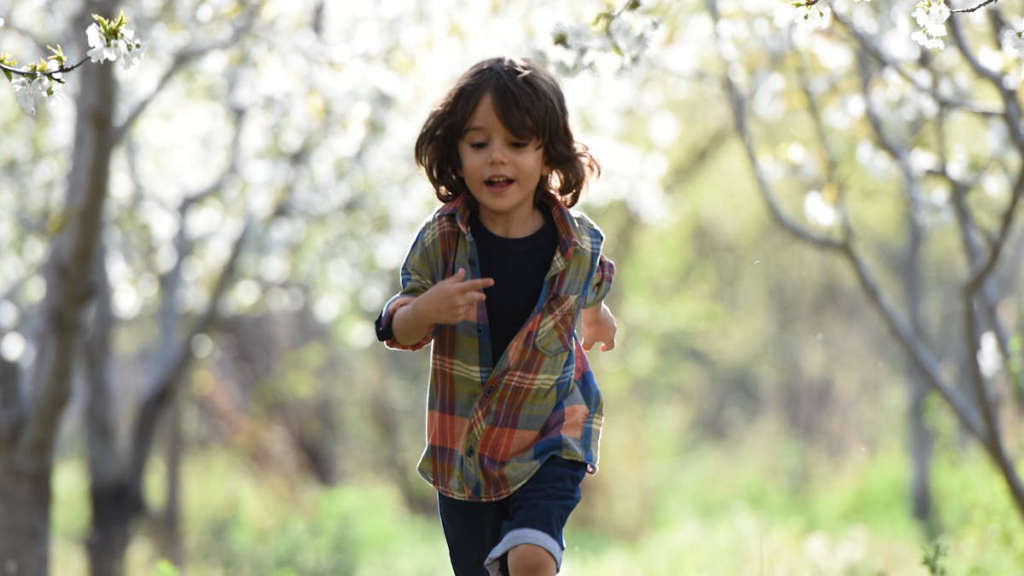 nafaka-türleri,-nafaka-hesaplama,-çanakkale-nafaka-avukat,-boşanma-avukatı-154.jpeg